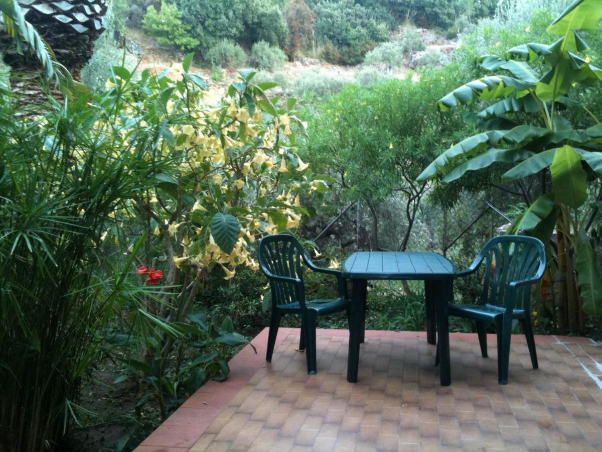 Stanza In Villa Con Giardino Vista Mare Чефалу Екстер'єр фото
